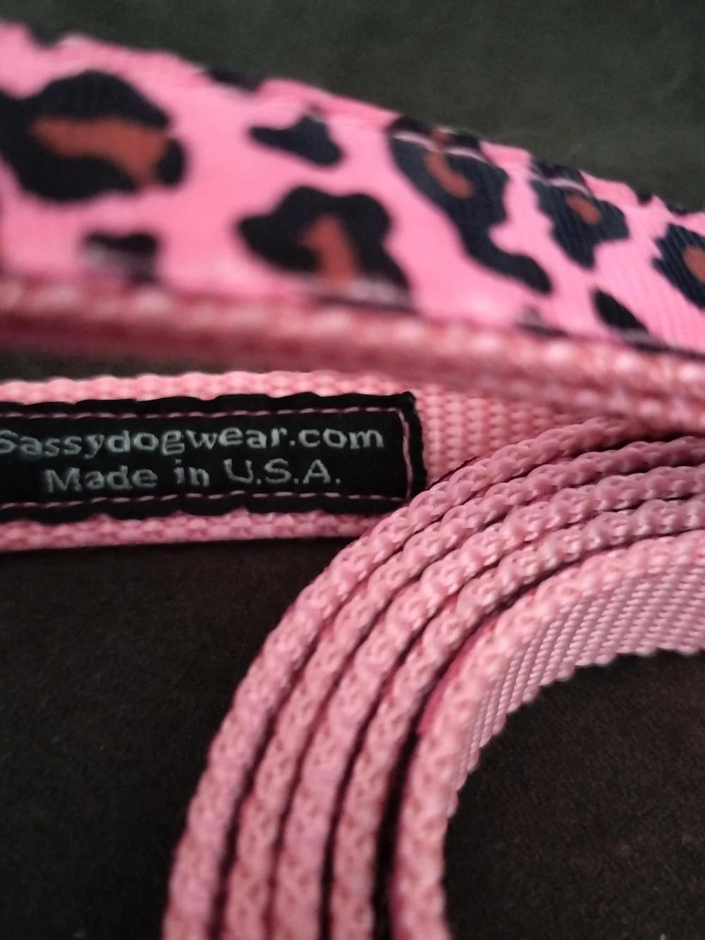 Sassy Dog Leash 3/4 in. Wide, Pink/ Leopard Print Nylon Webbing, 68 In. Long